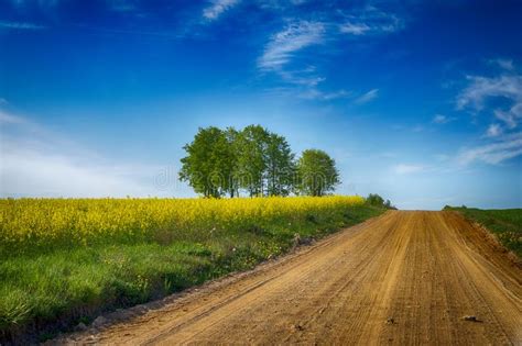 Gravel Country Road Through Farm Fields And Meadow Stock Image Image
