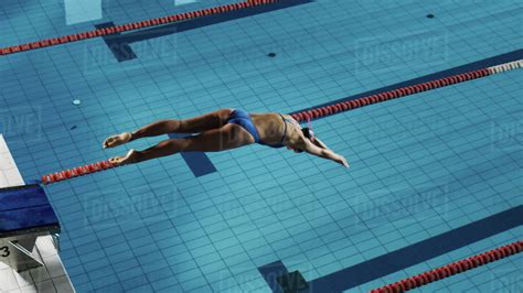 Beautiful Female Swimmer Diving In Swimming Pool Professional Athlete