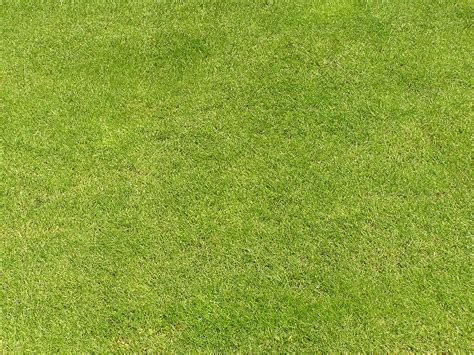 Акварельная текстура травы для генплана фото — Картинки и Рисунки