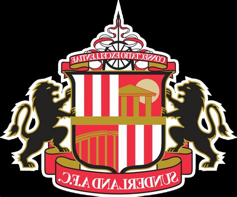 Jonny williams is back in training. Sunderland Afc for sale in UK | 38 used Sunderland Afcs