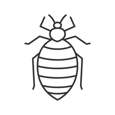 Bedbug Illustrations Royalty Free Vector Graphics And Clip