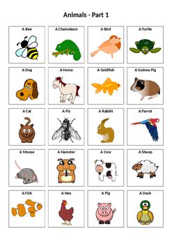 French dog names search results. French Vocabulary: Animals by I Need To Teach That | TpT