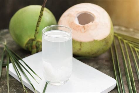 Vietnamese Pure Coconut Water Maaptrade