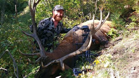 Guided Hunting In Idaho Idaho Guided Elk Hunts