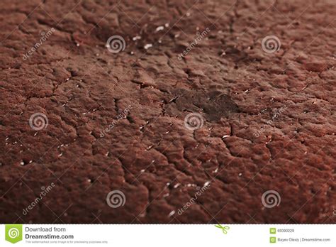 Close Up Macro Photograph Of Chocolate Cake Texture Stock Image Image Of Fattening Detail