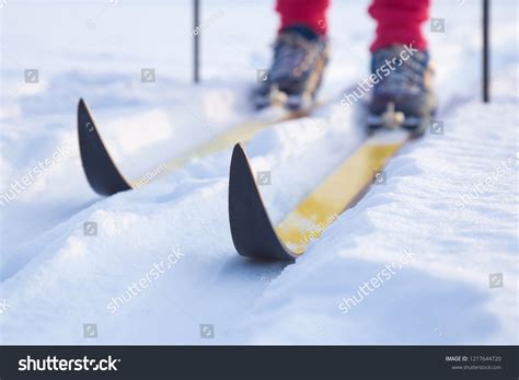 Skis On Track In The Fresh White Snow In Winter Day Classic Cross