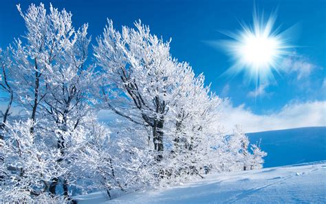Snow Scenery Wallpaper 64 Pictures