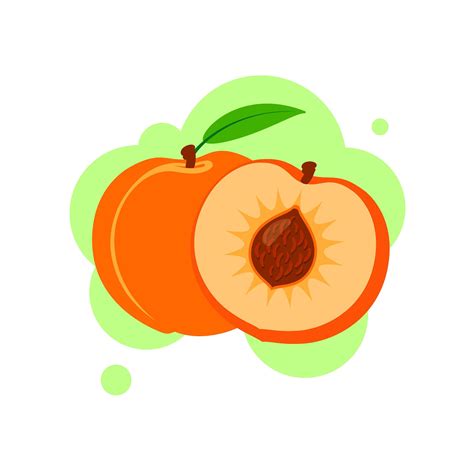Fresh Peach Icon Vector Illustration Peach Isolated On White