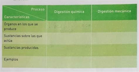 Construya Un Cuadro En El Que Compare La Digesti N Qu Mica Y La Mec Nica Le Proporcionamos Un