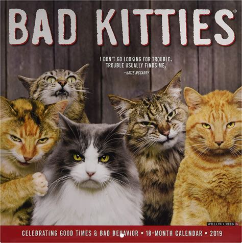 Besides, you should also be able to face new challenges, with proper practice, followed by appropriate time management during preparation.read more. Bad Kitties 2019 Wall Calendar Calendar - Wall Calendar ...