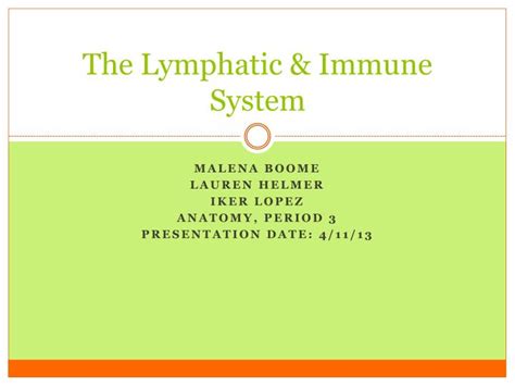 Ppt The Lymphatic And Immune System Powerpoint Presentation Free