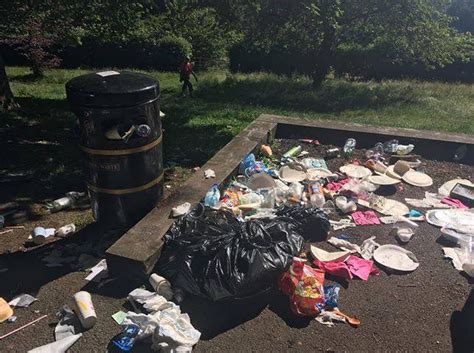Before And After Pictures Of Litter Left By Bin At Alexandra Park