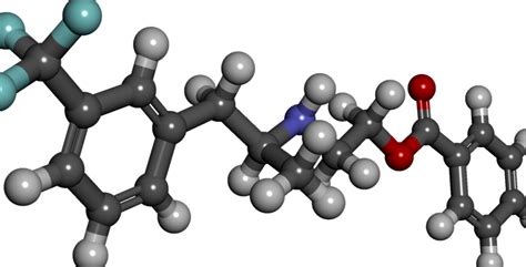 Biomoléculas Concepto Tipos Funciones E Importancia En La Vida