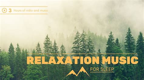 Best Relaxation Music For Sleep Youtube