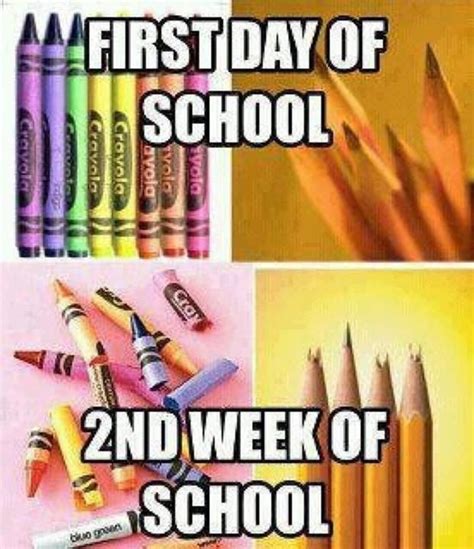 First Day Of School 2nd Week Of School Teaching Memes