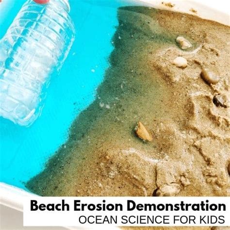 9 Fun Beach Science Activities For Preschoolers Summer Activities For