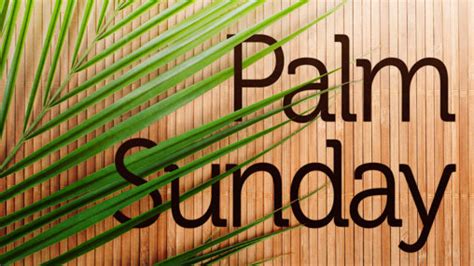 Church Preaching Slide Palm Sunday 3
