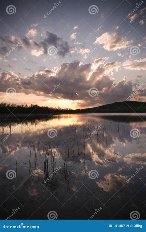 Lake In Twilight Stock Image Image Of Country Grass 14145719