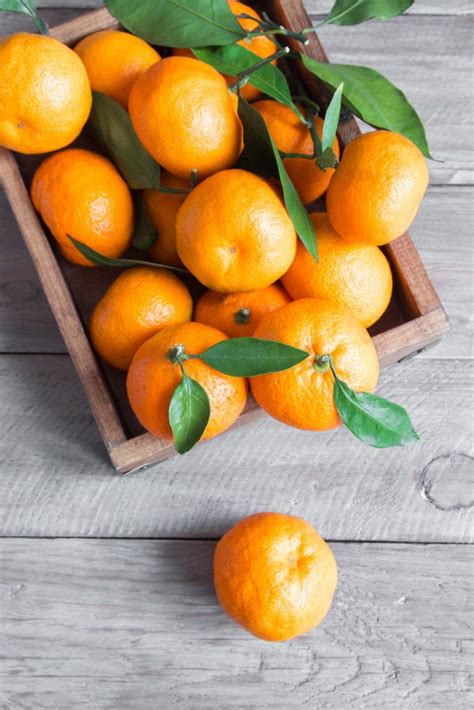 Citrus taxonomy refers to the botanical classification of the species, varieties, cultivars, and graft hybrids within the genus citrus and related genera, found in cultivation and in the wild. Harvesting - Citrus.com