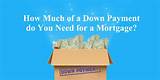 How Much For Mortgage Down Payment Pictures