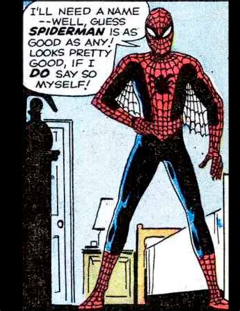 Amazing Fantasy 15 Spider Man Comic Styled Pattern Bundle V1 Etsy