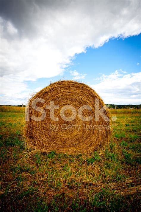 Hay Bale Stock Photo Royalty Free Freeimages
