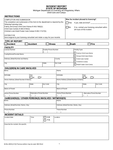 Lara Child Care S 2019 2024 Form Fill Out And Sign Printable Pdf