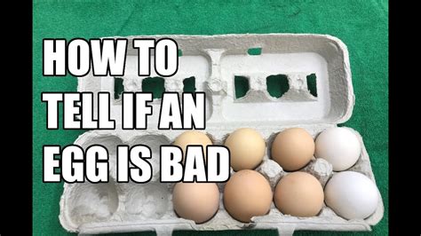 How To Tell If An Egg Is Bad Youtube