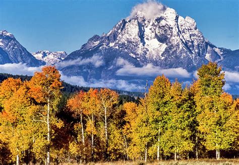 Mount Moran With Trees Clouds Photograph By Frank Barnitz Fine Art