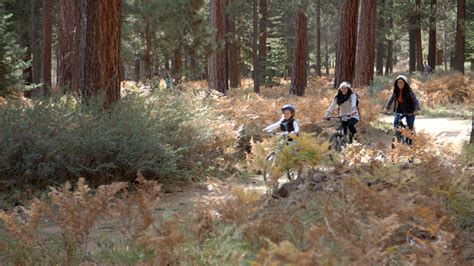 lesbianas de bosque telegraph