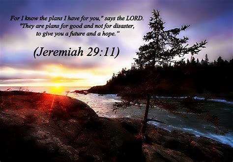 We have a large selection of cool, beautiful, funny, flower, love, computer, animated, nature, jesus, god, christian, and other themed desktop wallpapers and backgrounds to download free! Jeremiah 29 11 KJV Wallpaper - WallpaperSafari