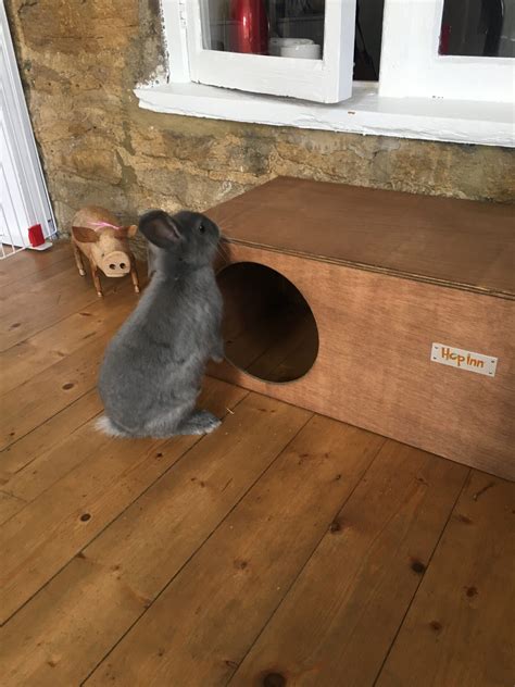 Rabbit Hideaway Handmade In The Uk Built To Last Arrives Readymade