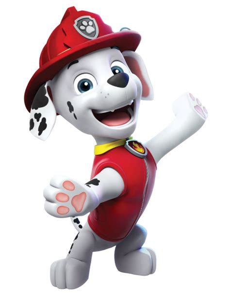 Marshalltrivia Paw Patrol Wiki Fandom Powered By Wikia