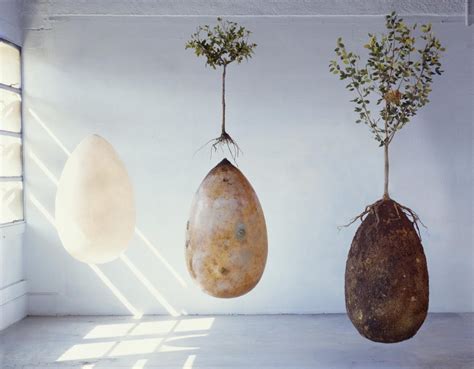 Bye Bye Coffins These Organic Burial Pods Will Turn You Into A Tree When You Die The Most