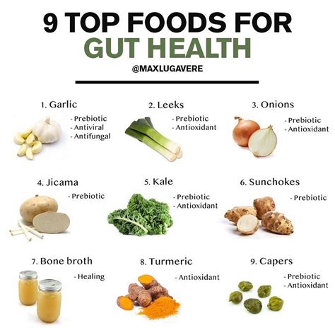 Gut Health Foods List