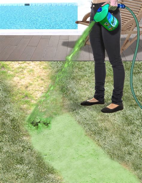 If you simply throw grass seed onto compacted soil, you will get poor germination. AquaGrazz Hydro Grass Seeding System | eBay