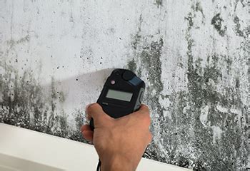 Here are colors and patterns to look for: Mold Remediation - Calloway Cleaning & Restoration