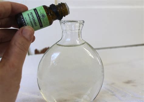Homemade Mouthwash With Peppermint And Clove Top Natural