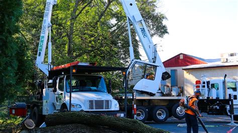 Altec Crane Tree Removal With Bucket Truck Bucks County Pa Youtube