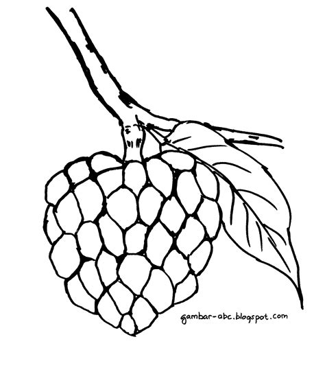 Contoh gambar mewarnai buah buahan - Gambar mewarnai