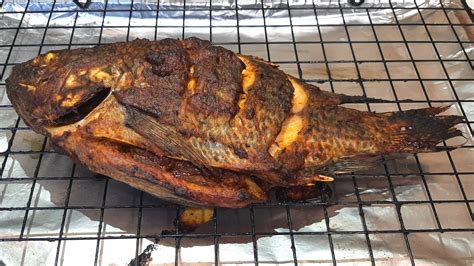 How To Make Delicious Grilled Tilapia Fish Oven Grilled Tilapia Fish Recipe Youtube