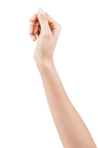 Close Up Hand And Arm On White Background Stock Photo Download Image