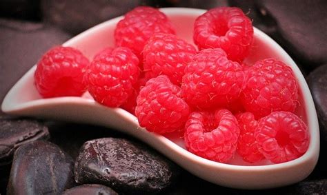 Dogs are omnivores, and they benefit from many different fruits and vegetables for the same reasons emilie bess is a ph.d. Can Dogs Eat Raspberries? Is It Safe?
