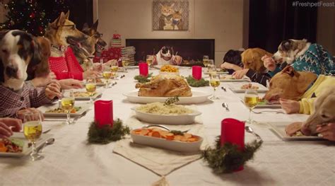 La hilarante cena navideña de un gato y 13 perros (video) - Seamos Mas