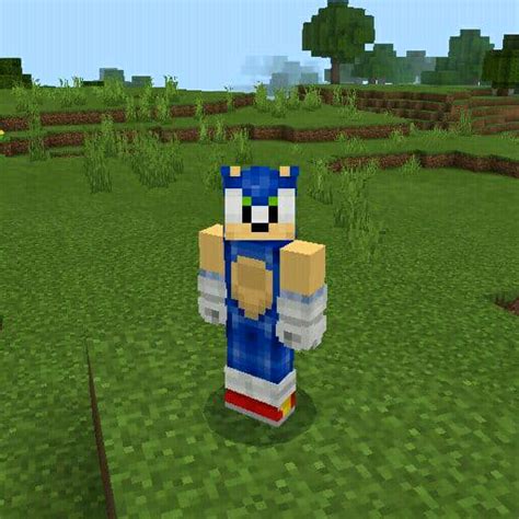 Skins Sonic For Minecraft Pe Pour Pcmac Windows 111087