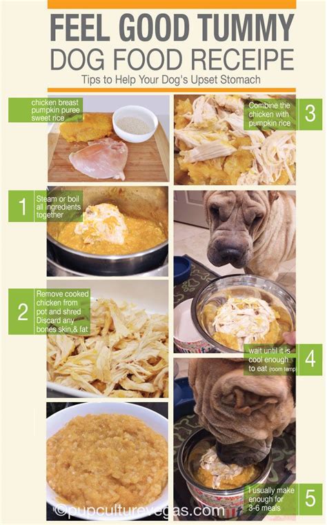 How To Help A Dog With An Upset Stomach Goalrevolution0
