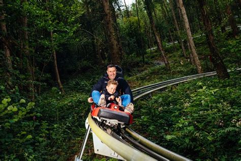 Zip World Fforest Coaster Ride Experience From Buyat