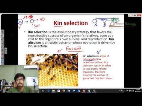 Natural selection is responsible for the designs we see in organisms: Kin selection - YouTube