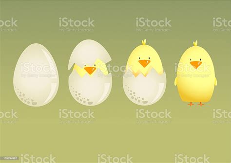 Chick Hatching Stock Illustration Download Image Now Istock