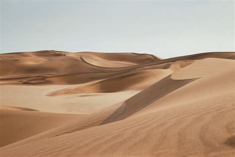 Free Images Landscape Desert Sand Dune Sandy Habitat Sahara